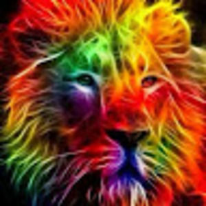 Meet your Posher, Katrenia